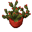A Festive Cactus