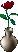 A Rose in a Vase