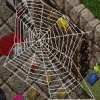 A Spiderweb Deed