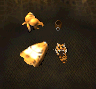 Aloron's Armor
