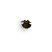 Bestial Gorget