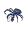 Coconut Crab