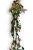 Creeping Vines