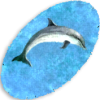 Dolphin Rug
