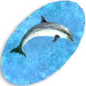 Dolphin Rug
