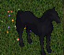 Dread Mare - 9x Legendary