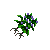 Nightshade - 60,000