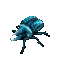 Rideable Frost Mite