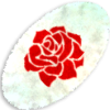 Rose Rug