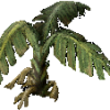 Small Banana Tree