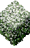 Snowy Hedge - Short