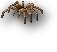 Tarantula Mount Tarantula Mount